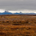 Исландско поле