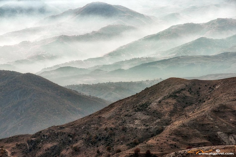 Мъгла в Родопите