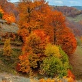 Цветна есен
